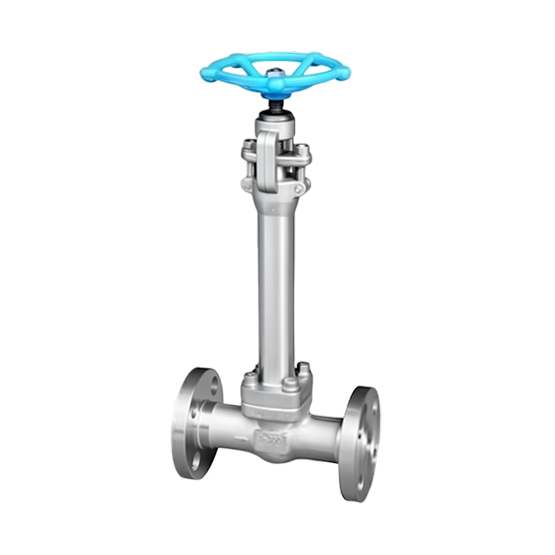 Cryogenic Globe Valve