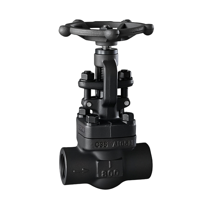 NPT Thread Globe Valve