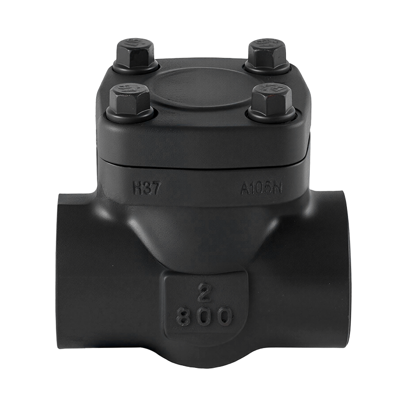 Swing Check Valve