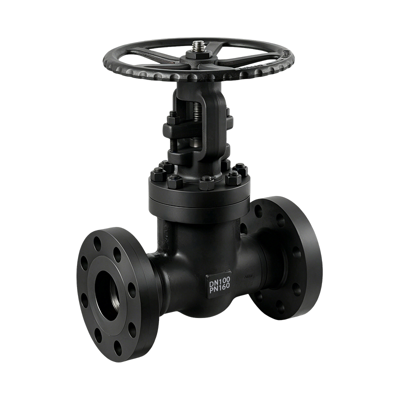 Forged Steel Flanged Gate Valve