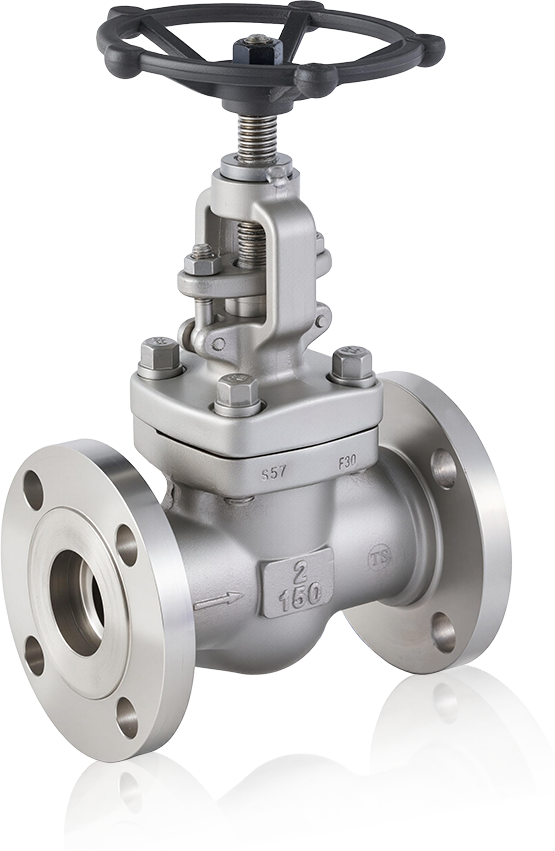 Globe Valves