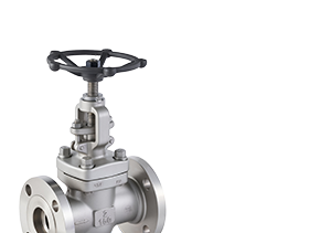 Globe Valves