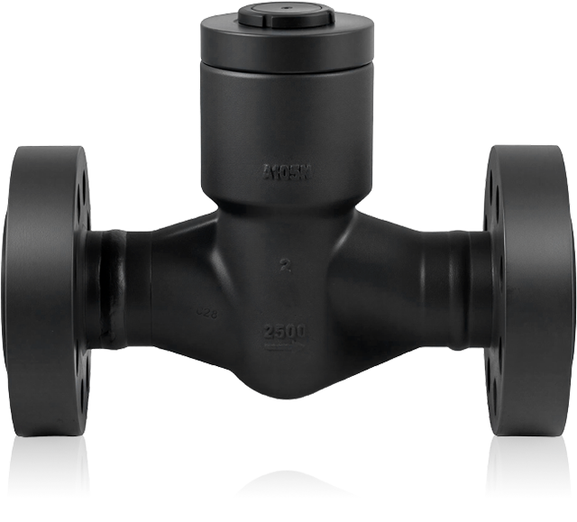 Check Valves