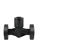 Check Valves