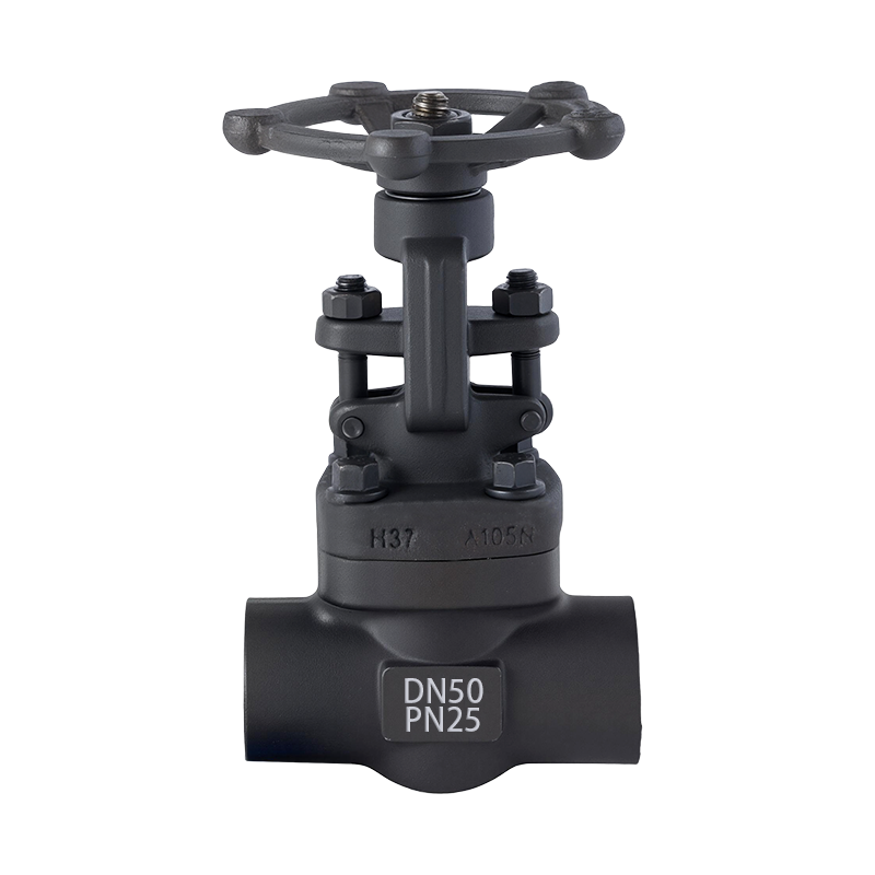 Socket Weld Gate Valve