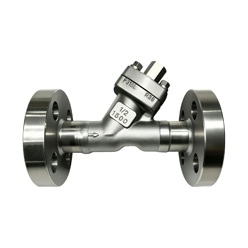 Flanged High-pressure Y-type Filter